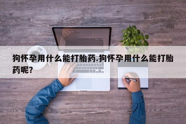 网上米索前列醇在线下单狗怀孕用什么能打胎药.狗怀孕用什么能打胎药呢？
