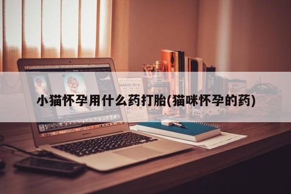 网上米索前列醇在线下单小猫怀孕用什么药打胎(猫咪怀孕的药)