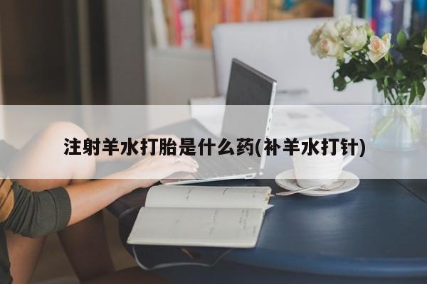 网上米索前列醇在线下单注射羊水打胎是什么药(补羊水打针)