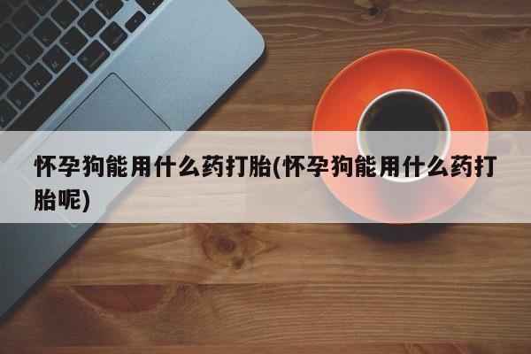 网上米索前列醇在线下单怀孕狗能用什么药打胎(怀孕狗能用什么药打胎呢)